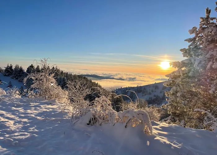 Дом отдыха Brvnara Iverak *